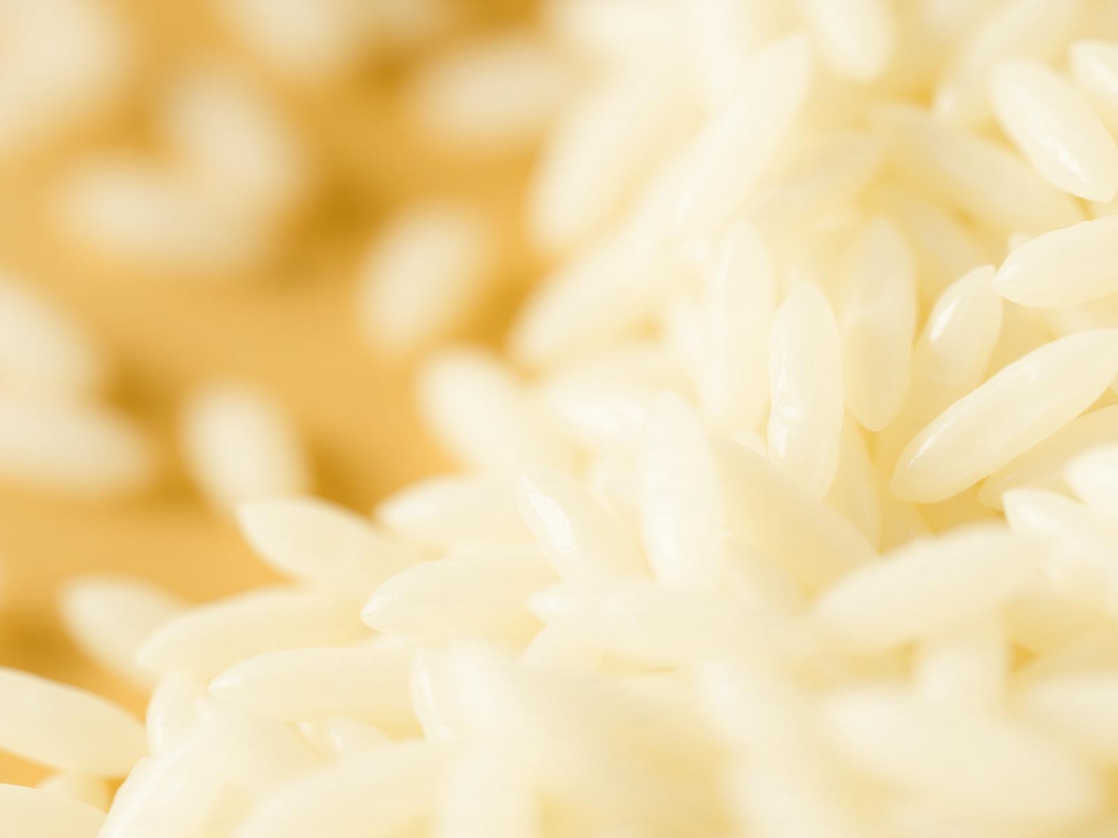 Polished rice grains